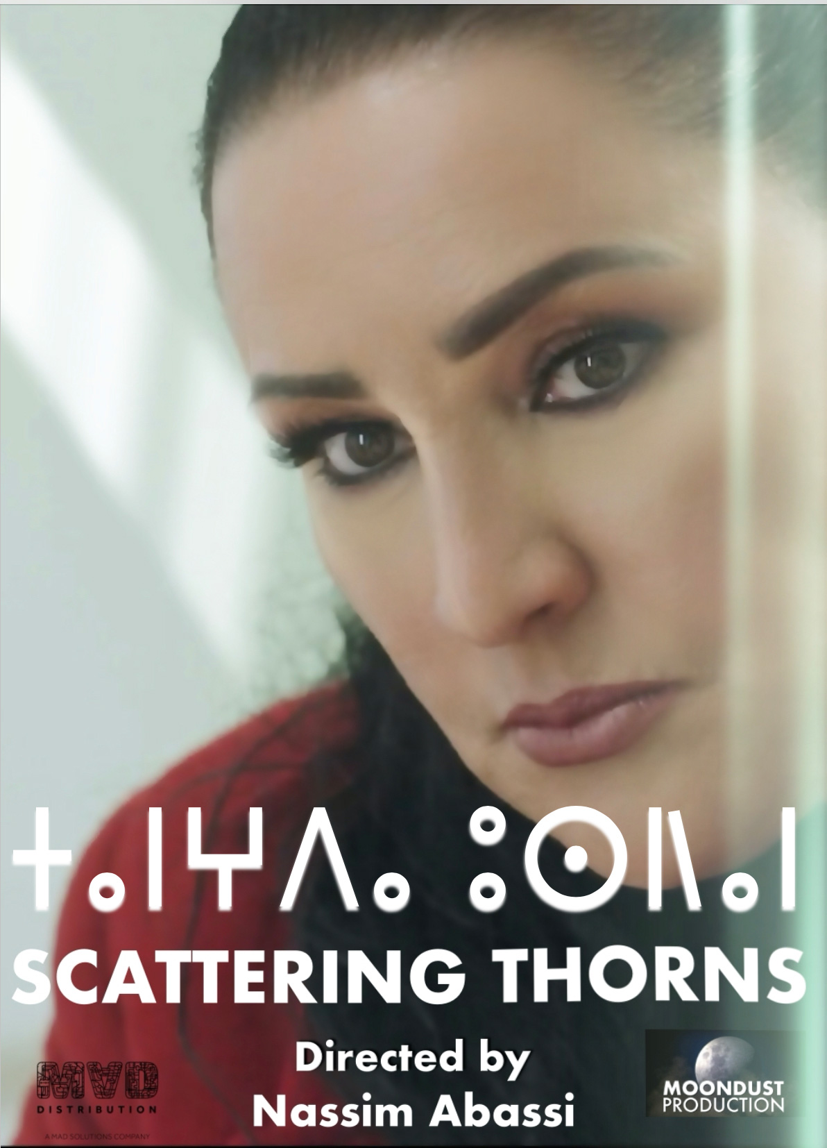 the day of the seagull